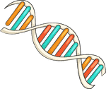 DNA