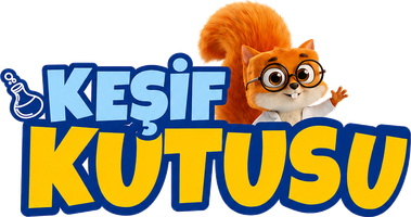 Keşif Kutusu